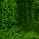 Illustration for article titled These Extraordinary Tunnels Look Like Gateways to Other Worlds